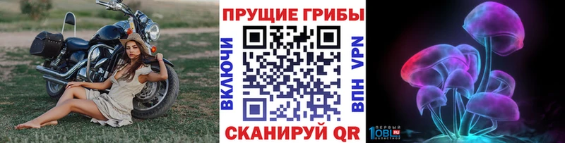 Псилоцибиновые грибы GOLDEN TEACHER  Купить где  Велиж 